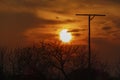 Sit pole for birds of prey in the sundown with silhouette of trees Royalty Free Stock Photo