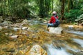 Sit on a rock stream Brook,Mountain river Creek Flowing Over Rock.