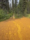 Ochre Stained Ground and Boardwalk at the Paint Pots