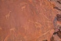 Site of ancient petroglyphs. Carved with giraffes, horses and other animals. Royalty Free Stock Photo