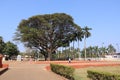 Picturesque Site of the Churches and Convents of Goa, Old Goa, India. Royalty Free Stock Photo