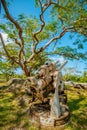 Last Command Post, Saipan, USA