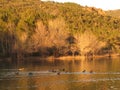 Site of the tooth of the bear, france Royalty Free Stock Photo