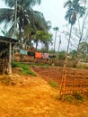 A site of a village in Assam