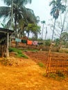 A site of a village in Assam Royalty Free Stock Photo