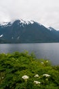 Sitka Bay