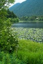 Sitka Lake