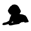 Sitting Beagle Dog On Front View, Silhouette, Hound, Europe
