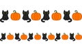Sitting black cats and pumpkin seamless border halloween set.