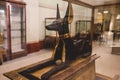 Sitting Black and Gold Statue of Ancient Egyptian God of Death Anubis in Cairo Museum