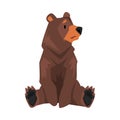 Sitting Brown Grizzly Bear, Wild Animal Character Cartoon Vector illustration