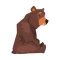 Sitting Brown Grizzly Bear, Wild Animal Character, Side View Cartoon Vector illustration