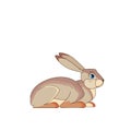 Sitting Brown Hare. Rabbit are herbivorour. Scene from wild. Cartoon character vector flat illustration isolated on a Royalty Free Stock Photo