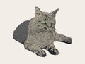 Sitting cat , hand draw sketch vector. Royalty Free Stock Photo