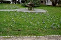 sitting on a circular paving made of paving stones. chairs and benches Royalty Free Stock Photo