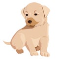 Sitting cute little puppy. Adorable pet. Vector illustration