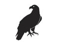 Sitting eagle. isolated vector silhouette image of bird of prey