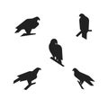 Sitting eagle silhouette vector