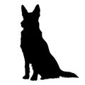 Sitting german shepherd dog silhouette Royalty Free Stock Photo