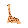 Sitting giraffe cartoon character flat vector illustration isolated on white Royalty Free Stock Photo