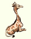 Sitting giraffe illustration Royalty Free Stock Photo