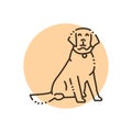 Sitting golden retriever adult color line icon. Pictogram for web page