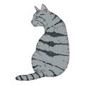 Sitting Gray Striped Cat