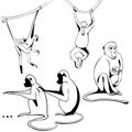 Sitting, hanging monkey. Outline drawing of a black line. Isolated vector illustration