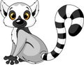 Sitting lemur Royalty Free Stock Photo