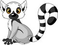 Sitting lemur