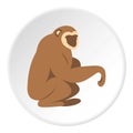 Sitting monkey icon circle