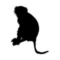 Sitting Monkey Macaca Fascicularis On a Side View Silhouette Found In Map Of Africa Asia,Oceania,Central And South America