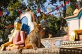 A sitting monkey near the statues of Buddha.