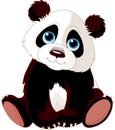 Sitting Panda