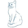 Sitting proud cute cat. Vector Sketch