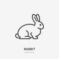 Sitting rabbit flat line icon. Vector thin sign of cute bunny, animal logo. Pet shop outline illustration, cruelty free