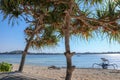 Sitting and relaxing on the beach in fine white sand. Gazebo among tropical trees in a bay without waves. Bizarre tree trunk Royalty Free Stock Photo