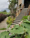 sitting on the stairs enjoying the breeze ..... beautiful