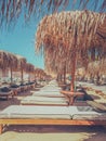 Relaxing on the Beach Under the Palms Royalty Free Stock Photo