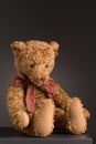 Sitting teddy bear with bow tie