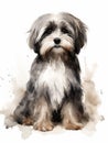 Sitting Tibetan Terrier with a Wise Look - Watercolor Illustration AI Generated