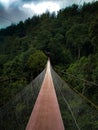 Situ Gunung Suspension Bridge located in Sukabumi, West Java in Gunung Gede Panrango National Park.