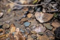 In situ Native American arrowhead artifact found in sand bed of a river Royalty Free Stock Photo