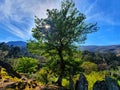 Aldeia Covas do Monte - Portugal Royalty Free Stock Photo