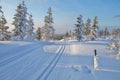 Piste de fond en finlande. Royalty Free Stock Photo