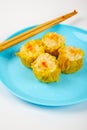 Siu Mai - Chinese steamed pork dumplings on blue plate Royalty Free Stock Photo