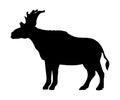 Sivatherium silhouette extinct mammalian animal