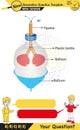 Physics - pressure and lifting force, archimedes principle, pressure of liquids and gases Royalty Free Stock Photo