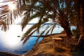 Siwa Oasis Royalty Free Stock Photo