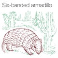 Six-banded armadillo hand drawn vector illustration